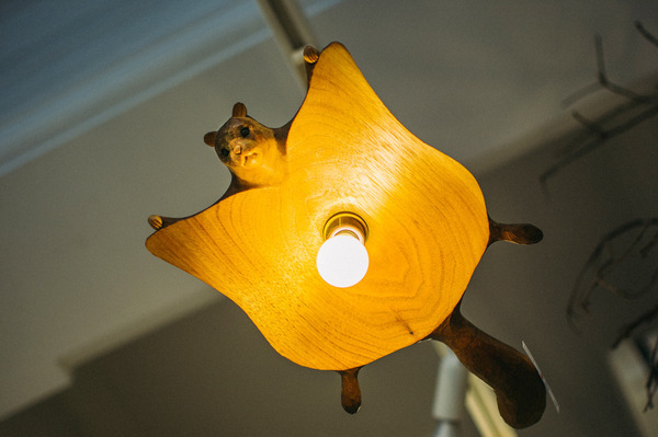 Flying squirrel - Chandelier, Bulb, Flying squirrel