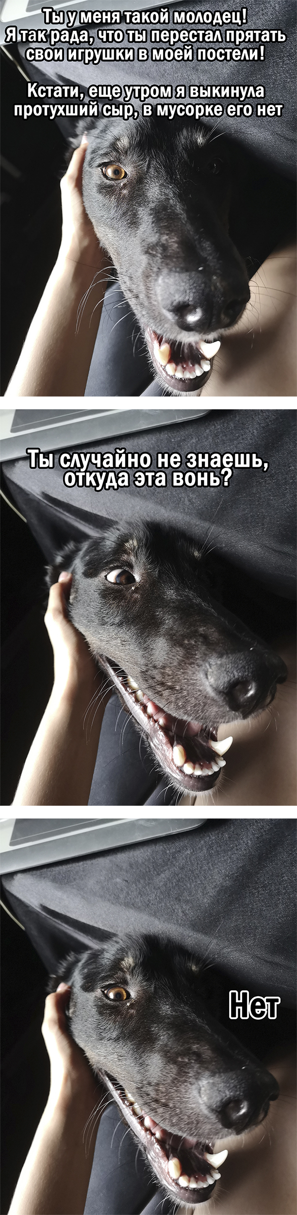 Пока ещё хороший мальчик