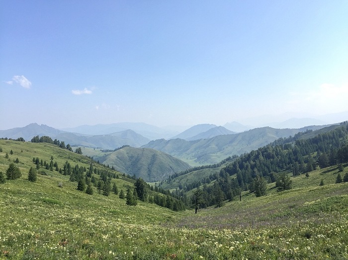 Аламбай алтайский край. Тягун Алтайский край природа. Аламбай река. Аламбай Алтайский край фото и описание.