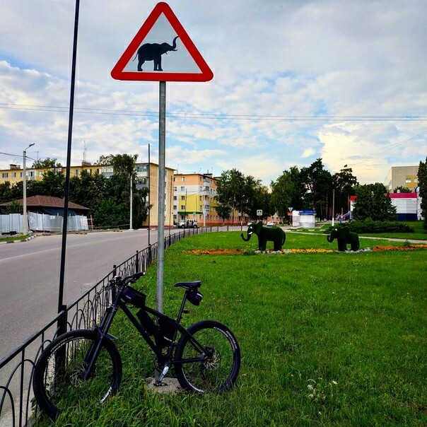 Осторожно, слоны! - Белгород, Шебекино, Слоны, Дорожный знак, Знаки, Дорога