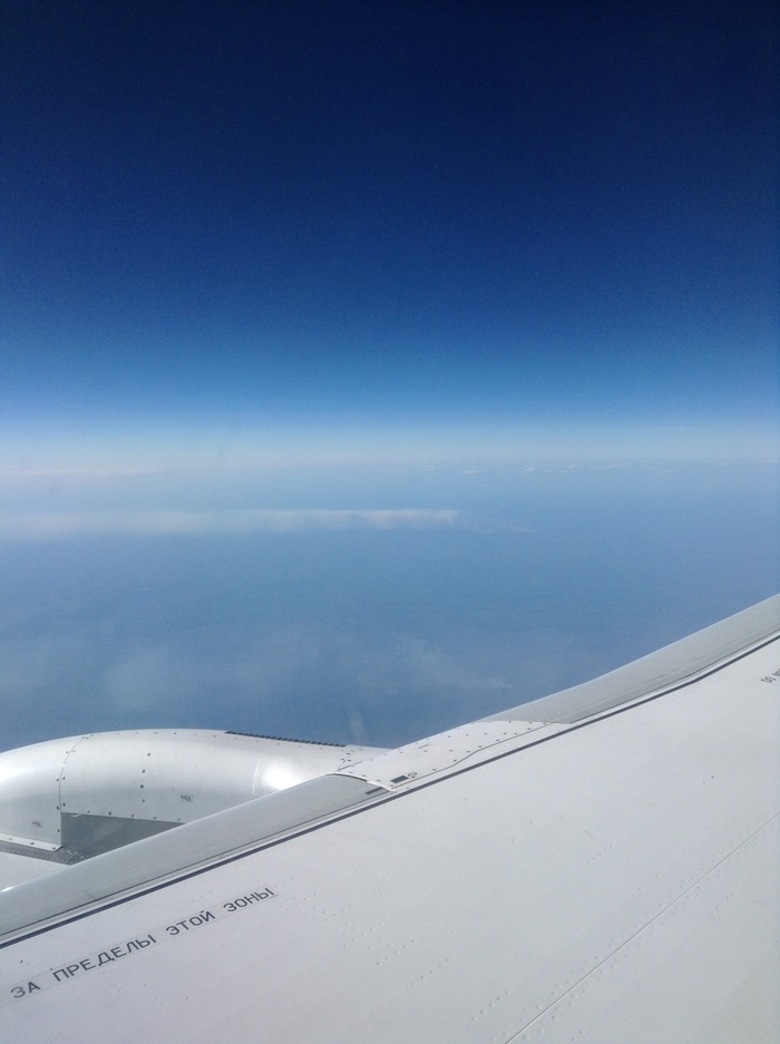 My last plane flight - Airplane, Taiga, Food, Longpost