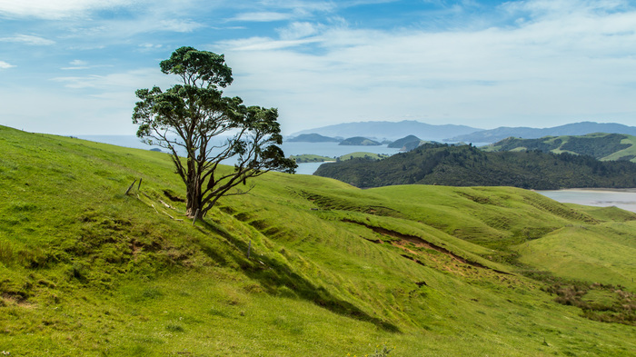 Peninsula Coromandel. - My, The photo, New Zealand, Landscape, Sea