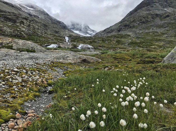 Norway, July 2018. - My, Norway, The photo, Longpost