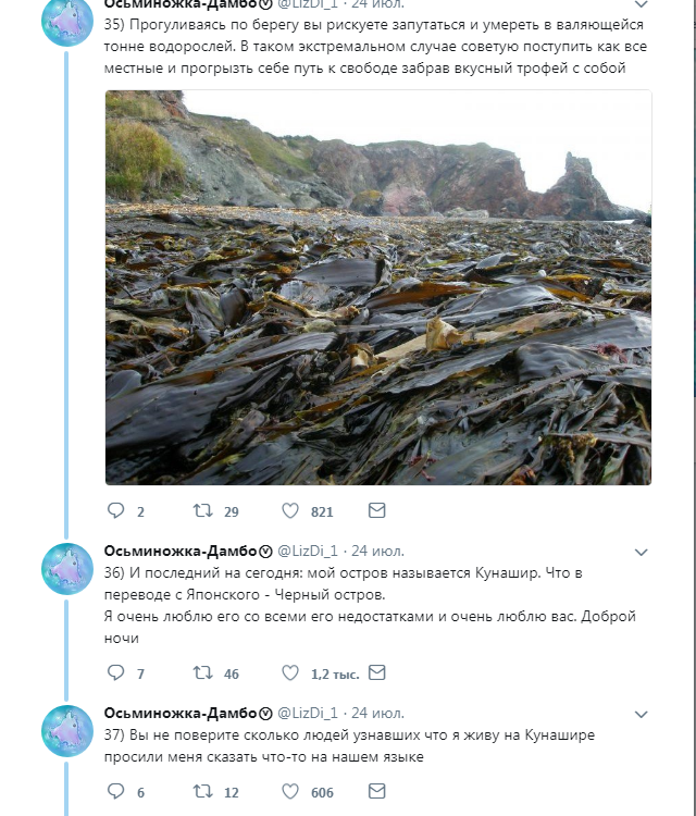 Well, what else to tell you about Fr. - Kunashir, Twitter, Longpost, Sakhalin Region, Дальний Восток, Screenshot