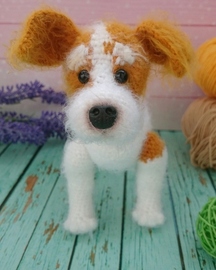 Jack Russell Terrier - My, Knitted toys, Dog, Amigurumi, Crochet, Needlework without process, Longpost, The photo