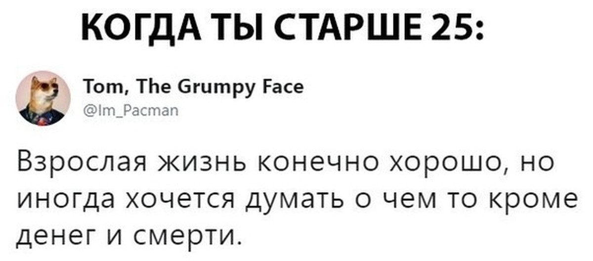 Жив конечно. Мемы про взрослую жизнь. Взрослая жизнь Мем. Приколы про взрослую жизнь. Взрослая жизнь это конечно хорошо.