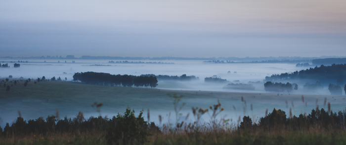 Have you seen such fogs? - My, Nature, Kemerovo region - Kuzbass, Fog, Village, Morning, dawn, Longpost, Photographer, The photo