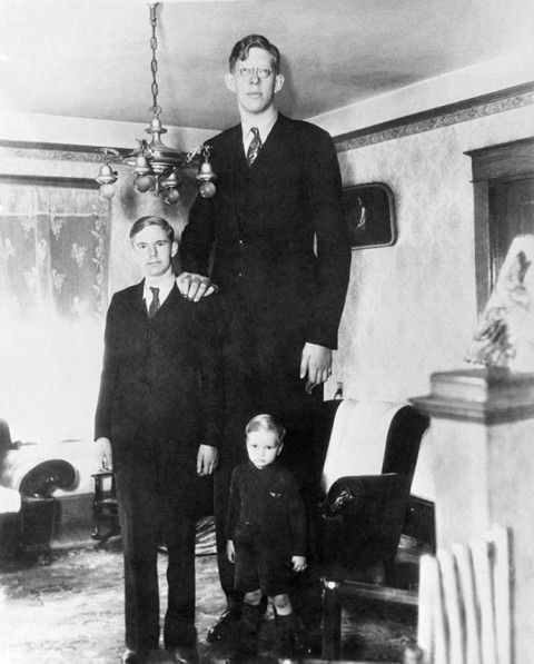 These rare footage will show how huge was the tallest man on Earth. - Person, Interesting, Rare photos, Longpost, Old photo, A big increase