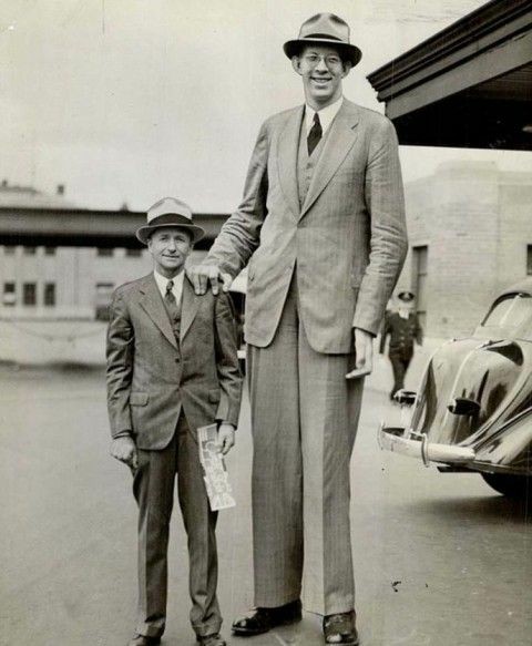 These rare footage will show how huge was the tallest man on Earth. - Person, Interesting, Rare photos, Longpost, Old photo, A big increase