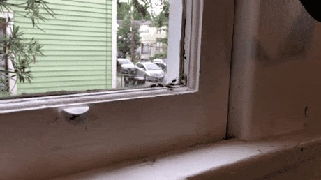 Семерых одним ударом! Гифка, Like a Boss, 9GAG