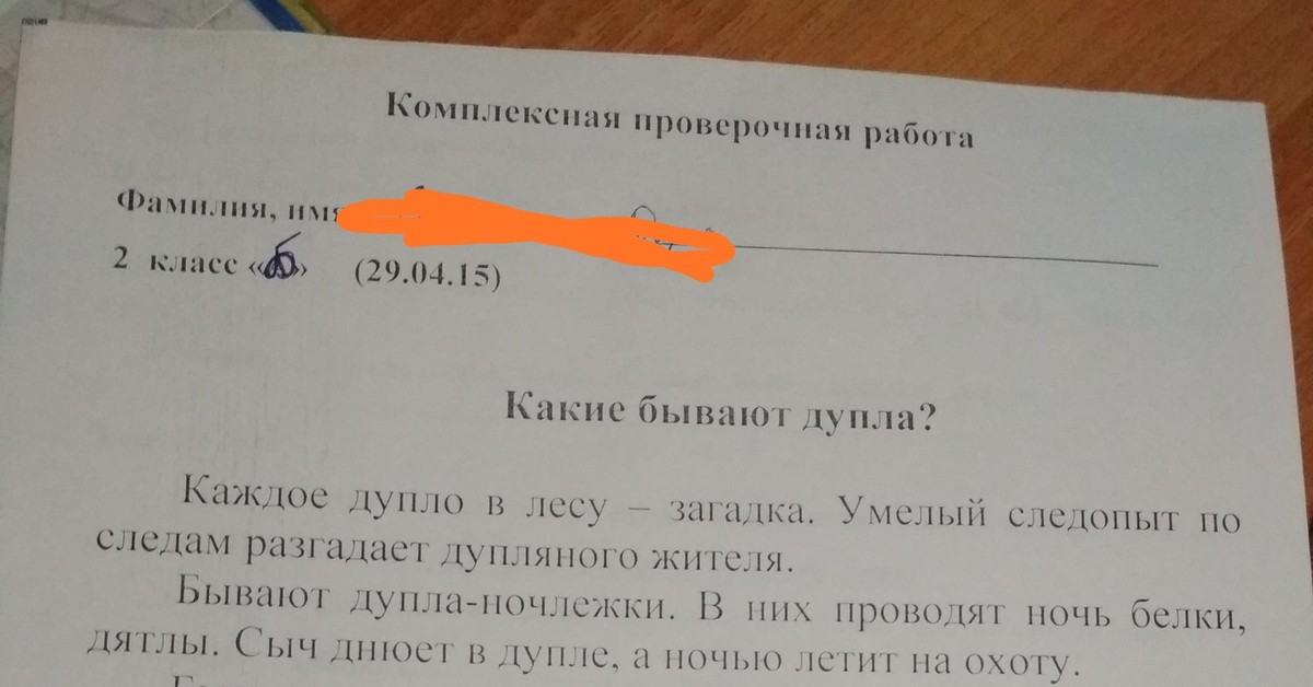 Дупло проверочное слово к п. Комплексная проверочная работа какие бывают дупла. Каждое дупло в лесу загадка умелый. Каждое дупло в лесу загадка. Какие бывают дупла.