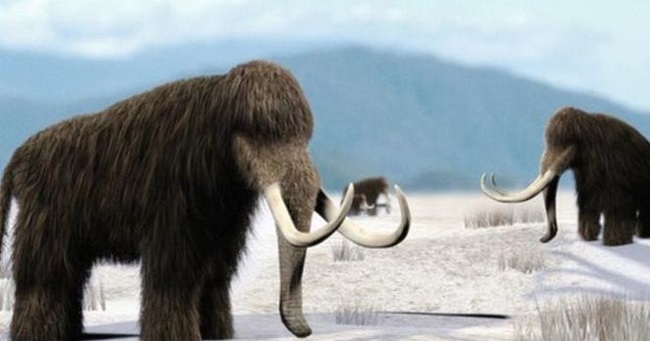 Why mammoths became extinct - My, Mammoth, Paleontology, Extinction, Pleistocene, Animals, Longpost