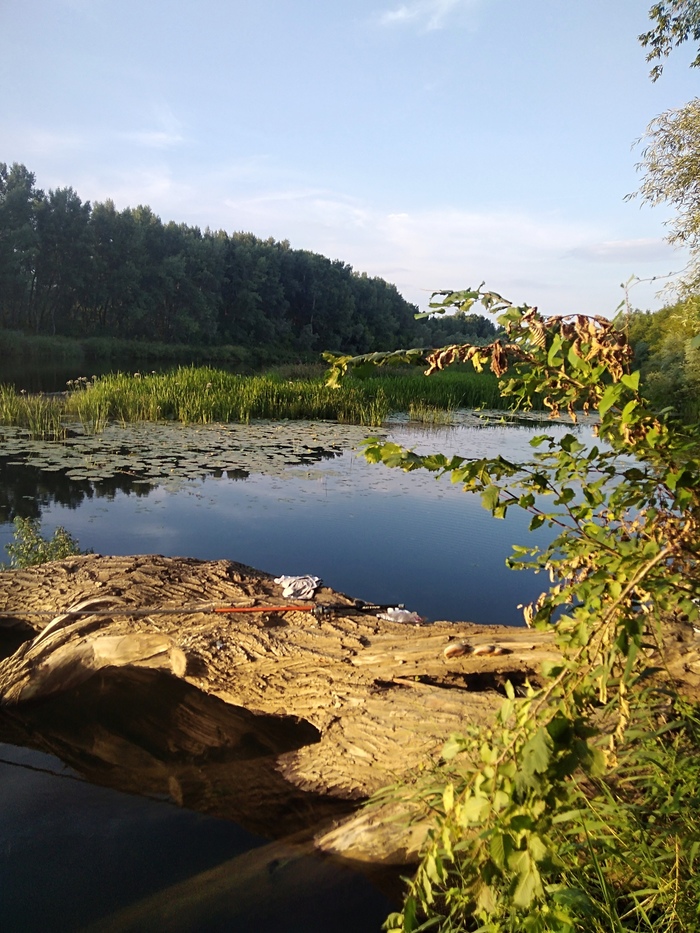 Fishing in the Urals - My, Ural, Spinning, Fishing, Longpost