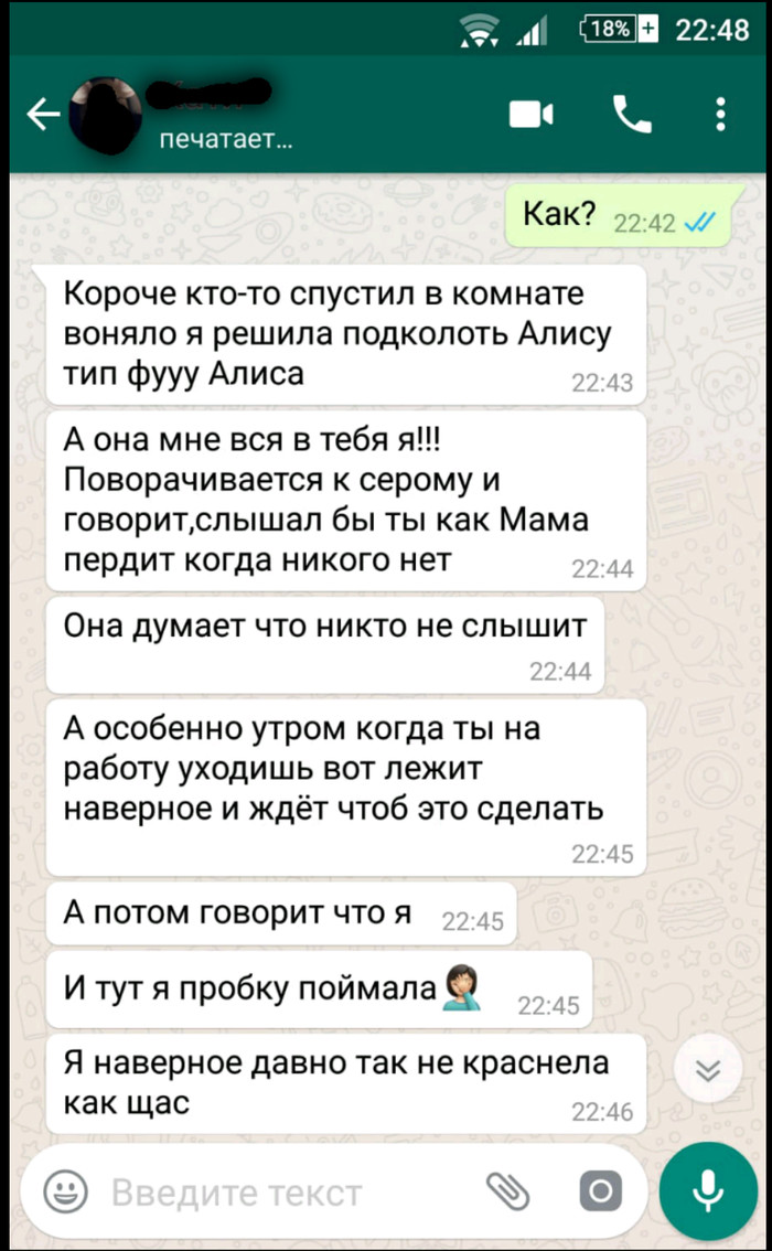 Маленький тролль - Моё, Дети, Переписка, Whatsapp, Скриншот, Пук