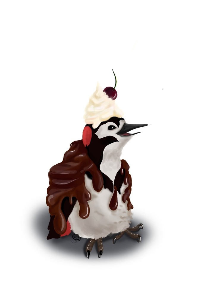 woodpecker - My, Art, Woodpeckers, Drawing on a tablet, Chocolate, Dessert, Birds