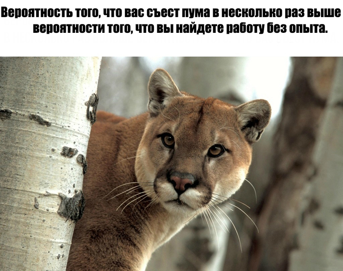 Интересный факт!