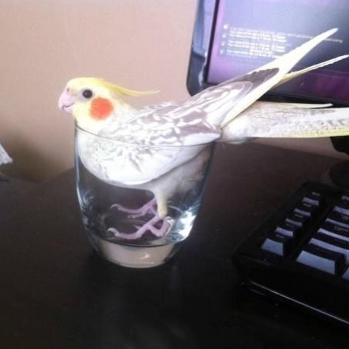 Бассейн с алиэкспресс