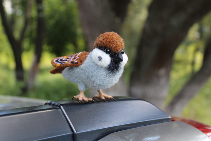 Sparrow - My, Sparrow, Wool toy, , Dry felting, Needlework without process, Hobby, Toys, Summer, Longpost