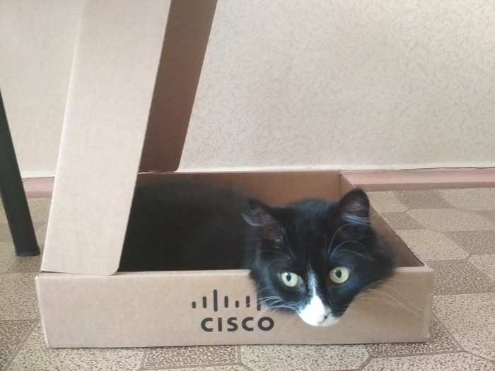  Cisco , Cisco