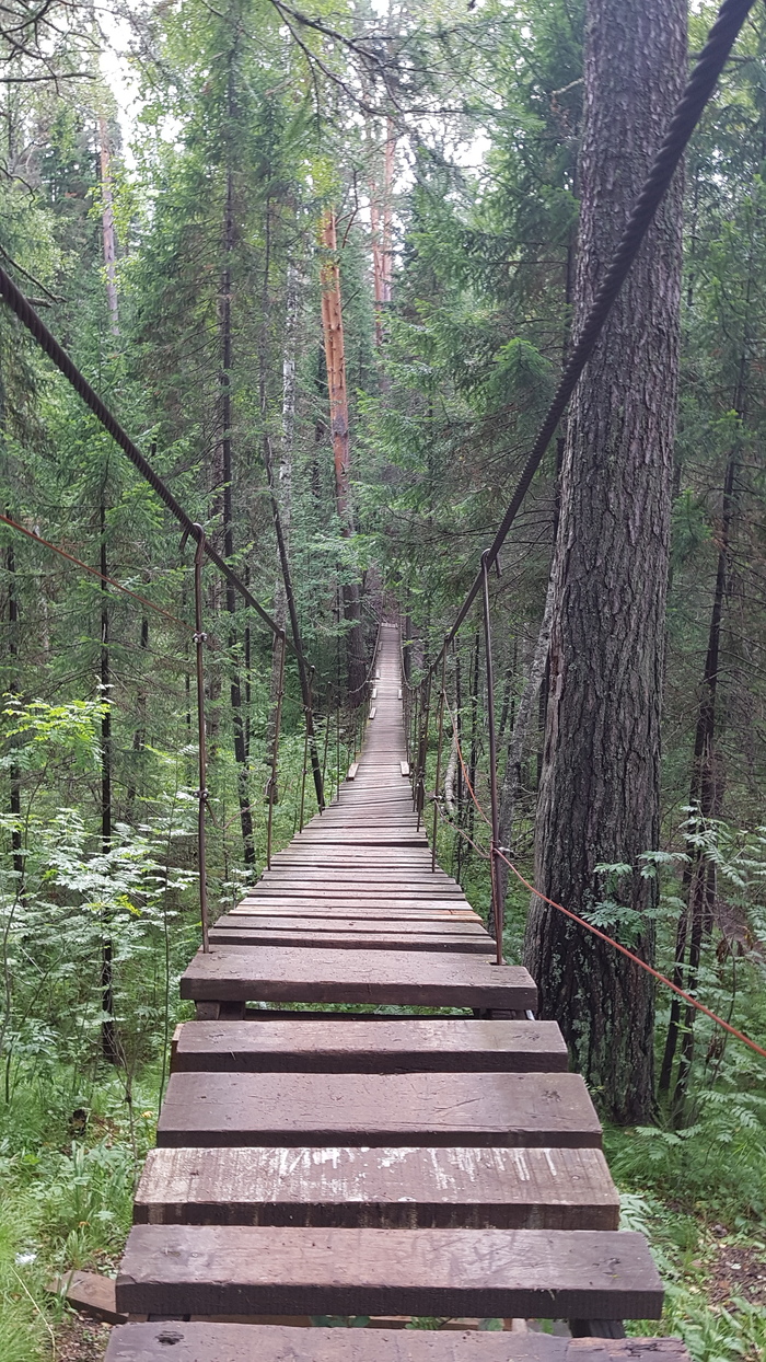 On the subject of bridges - My, deer streams, Bridge