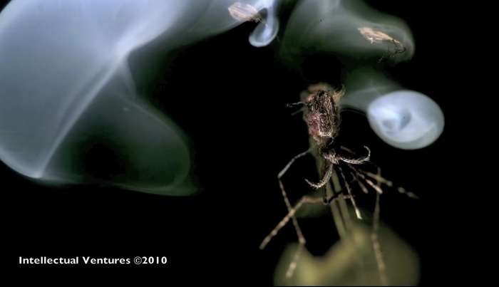 Обзор средств борьбы с комарами Москиты, репелленты, инсектициды, фумигаторы, лонгпост