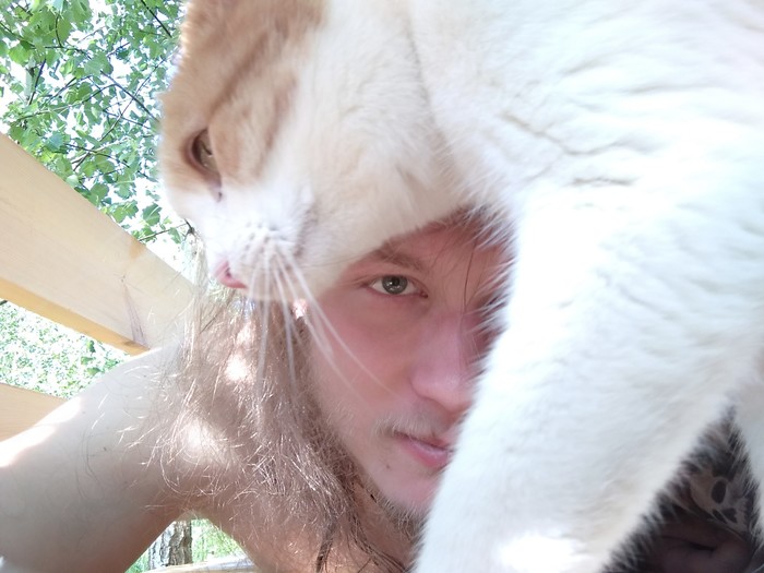 Briefly about how I tried to take a selfie in the country, but cats decide everything .. - My, cat, Dacha, Longpost