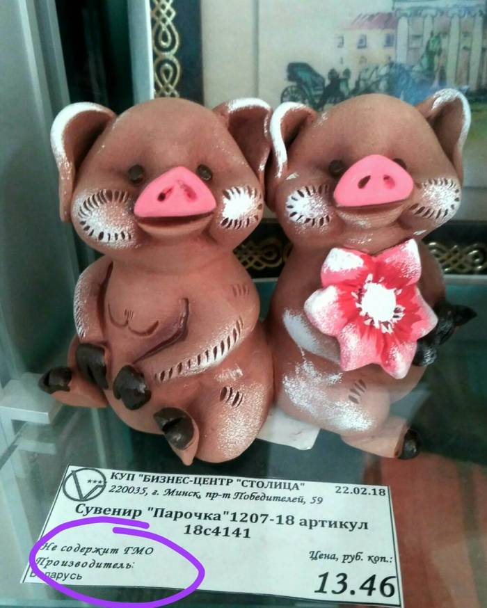 Pork without GMO - The photo, Pig, GMO, Souvenirs, Minsk, Rave
