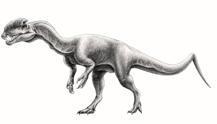 Дилофозавр Динозавры, Палеонтология, Рисунок, Познавательно, Хобби, Рисунок карандашом