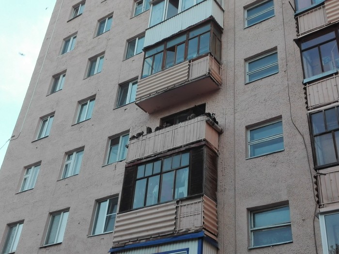 ��� ���� ������� � �����������...