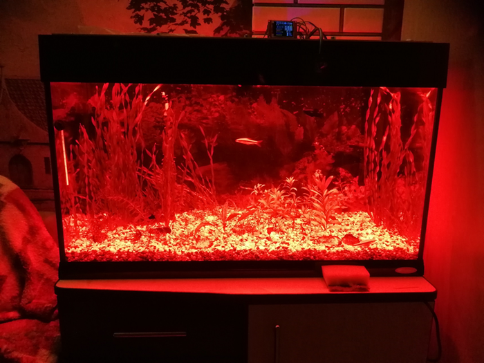 Освещение для аквариума своими руками (часть 2) Аквариум, Светодиоды, Своими руками, Arduino, Видео, Длиннопост