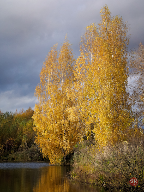 Autumn - My, The photo, Autumn, River, Clouds, Olympus