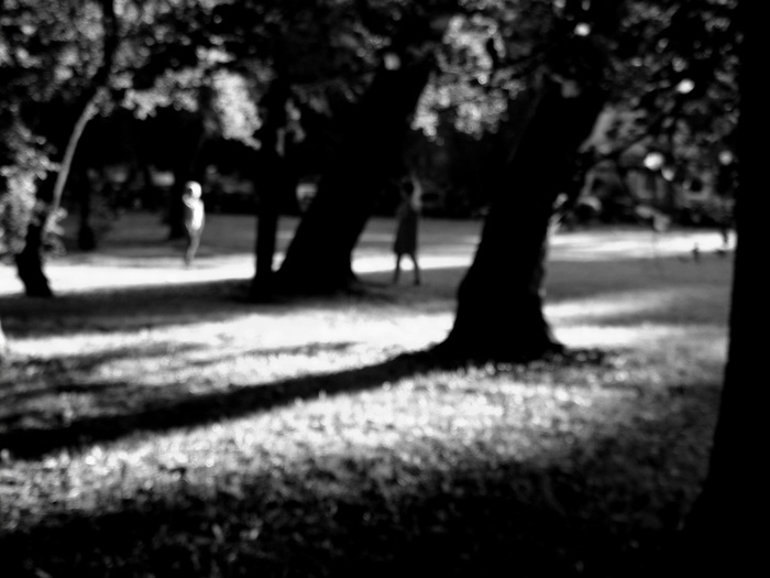 Defocused impression of the evening action of children playing on the summer lawn - My, Black and white photo, Poor eyesight, Impressions, Lawn