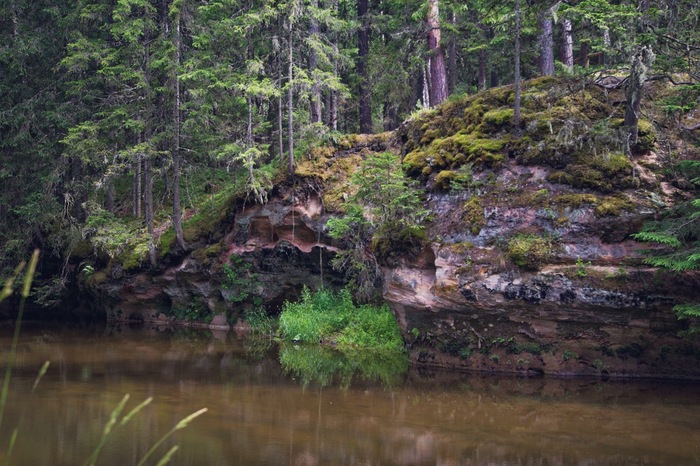 Мои фотографии природы Эстонии Фотография, Эстония, Природа, Длиннопост
