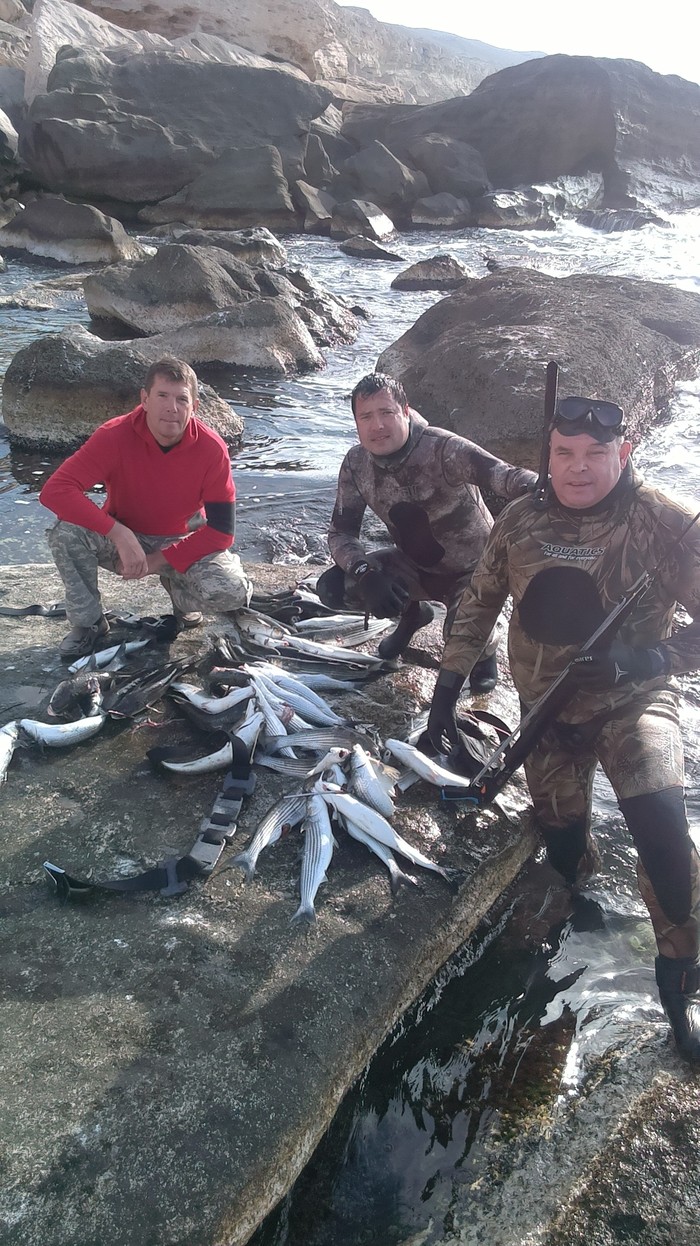 Все собрались