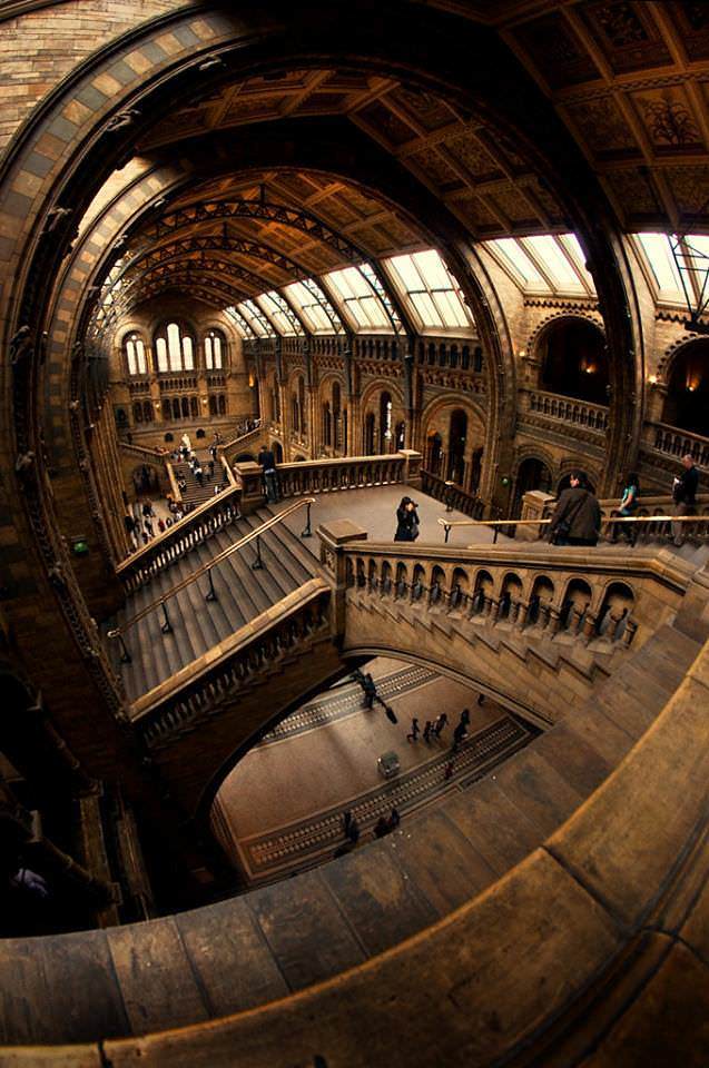 Museum of Natural History - The photo, Museum, Architecture, London