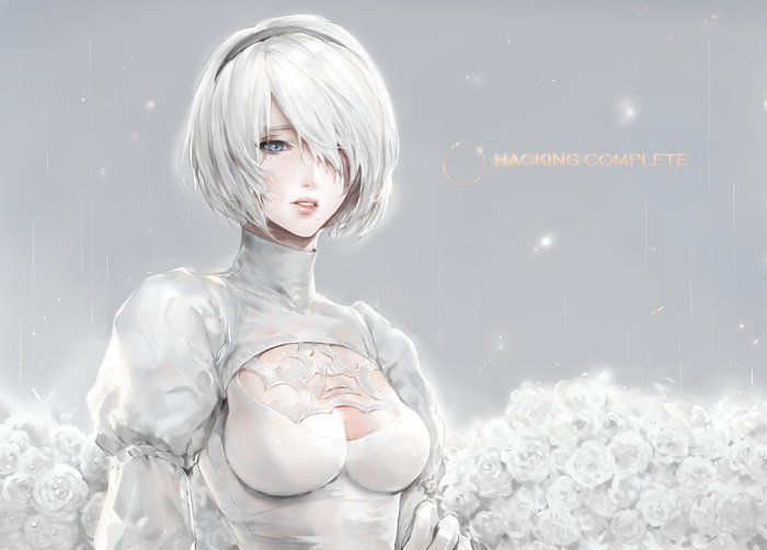 Hacking Complete , , , Nier Automata, Twitter