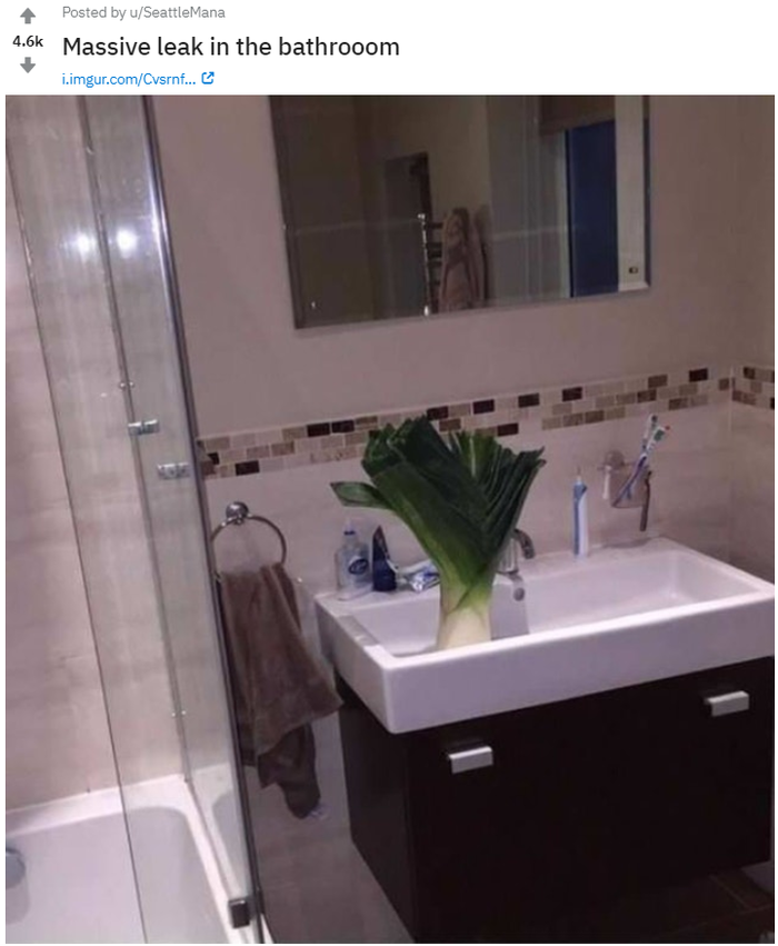    ,  , , Reddit