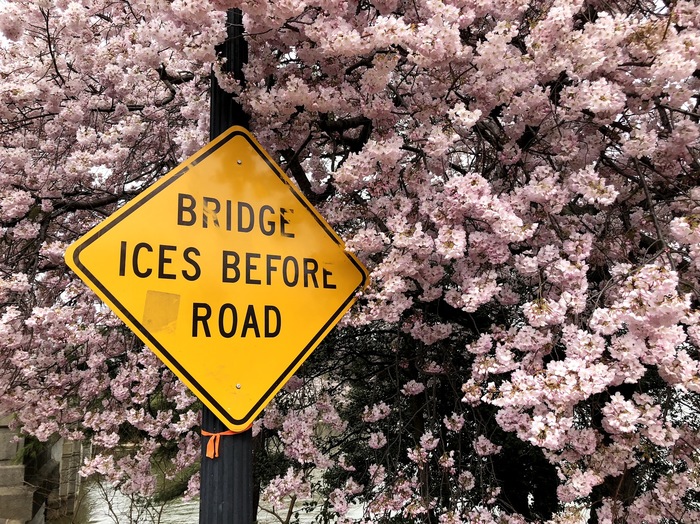       Washington DC , , , , , , 