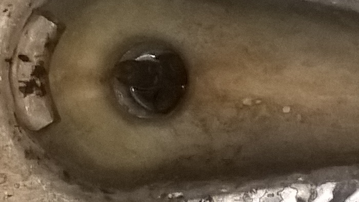 Скульптура :"Хрен в армии";материал: " Биологические отходы.