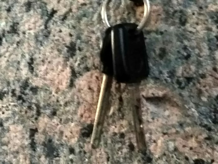 Car keys found. - Keys found, Saint Petersburg, Keys, Auto, In good hands, No rating