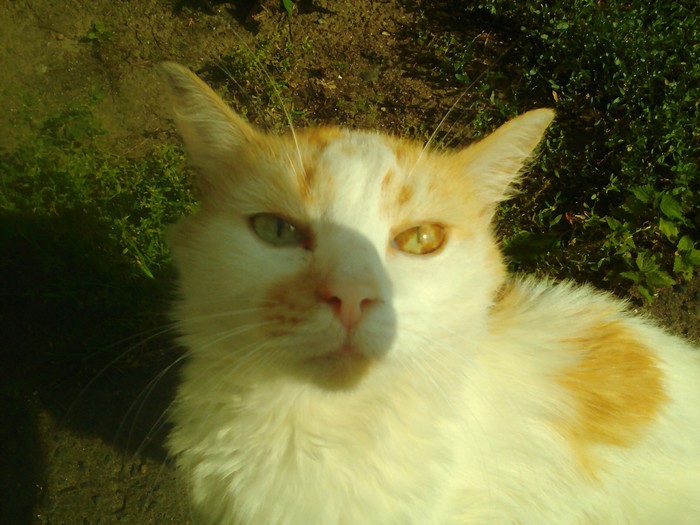 Отпечаток солнца | Пикабу