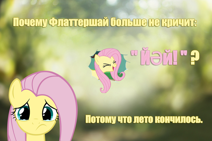Bashkir humor [homophones] - Pony, My little pony, Fluttershy, Bashkortostan, September 1, Humor, Picture with text, Homophones