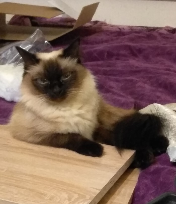 Ну давай расскажи мне, как ты "офигенно" провел лето.