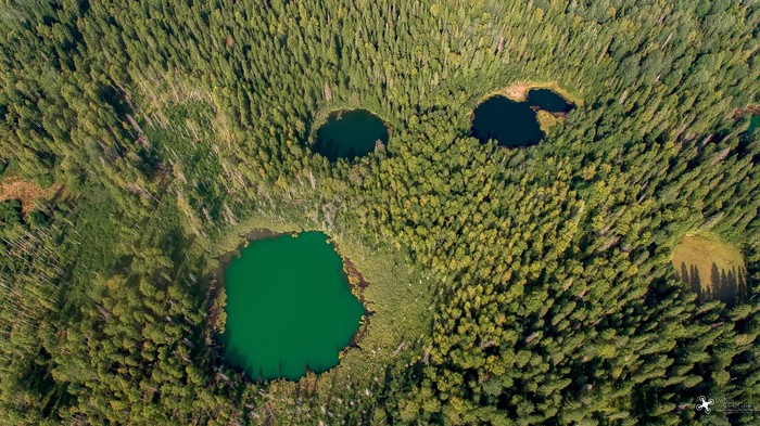 Lakes of the Durnyatskaya Basin - My, Lake, Perm Territory, Aerial photography, Forest
