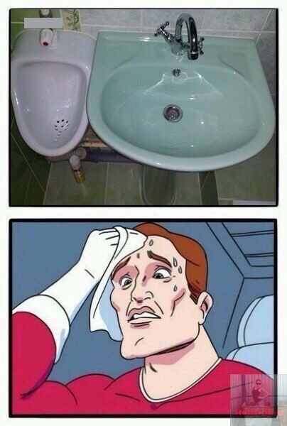 Про раковину