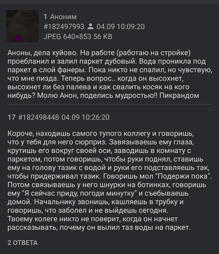 Залил паркет на стройке - Паркет, Вода, Работа, Из сети, Мат, Скриншот, Комментарии