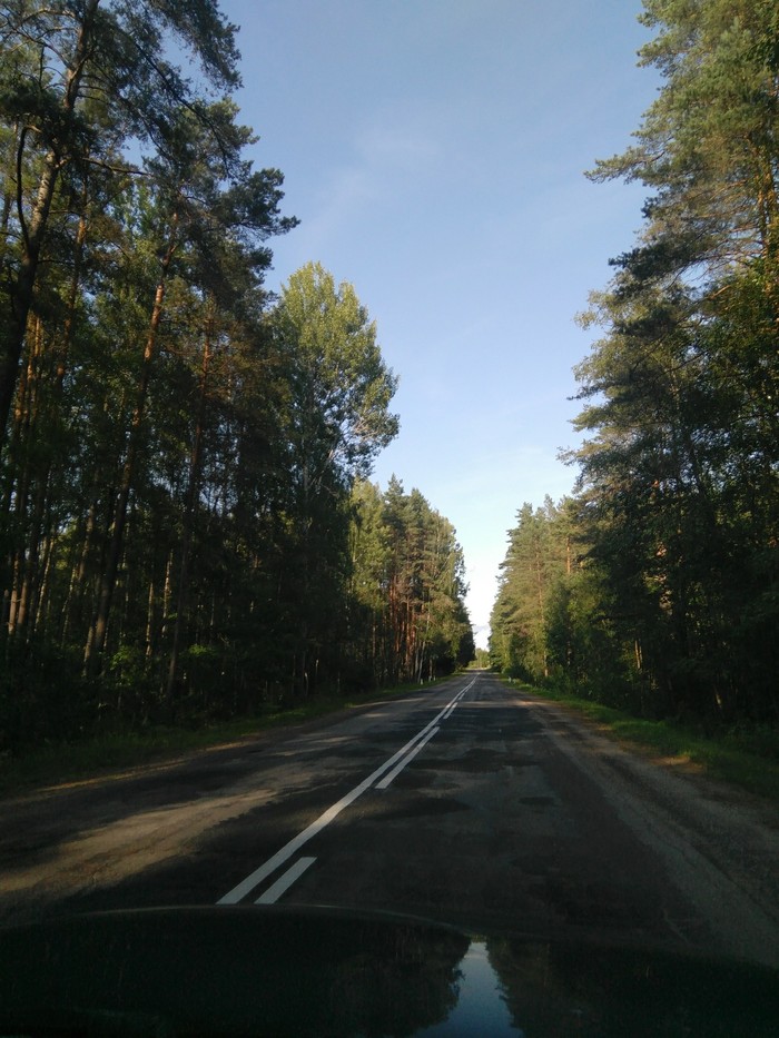 Road to the distance - My, Road, Forest, Summer