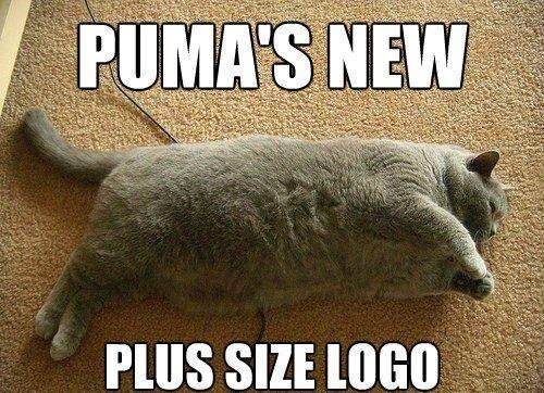 ����� ������� Puma ������� ����