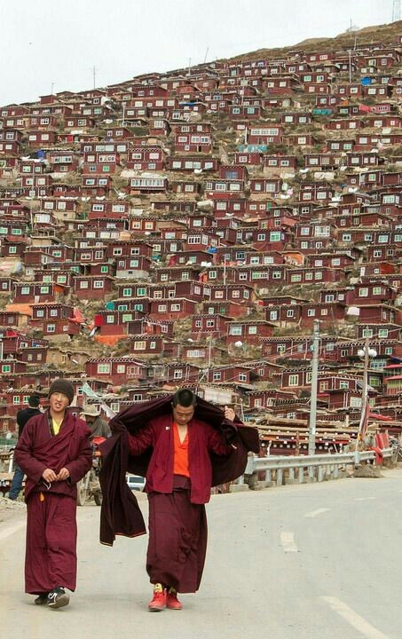 Tibetan village. - Interesting, The photo, The street, House, Village