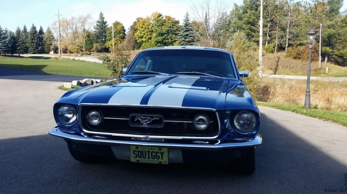 Ford Mustang Fastback GT350 Ford Mustang, , 